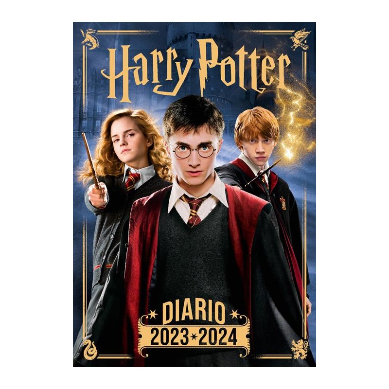 DIARIO HARRY POTTER